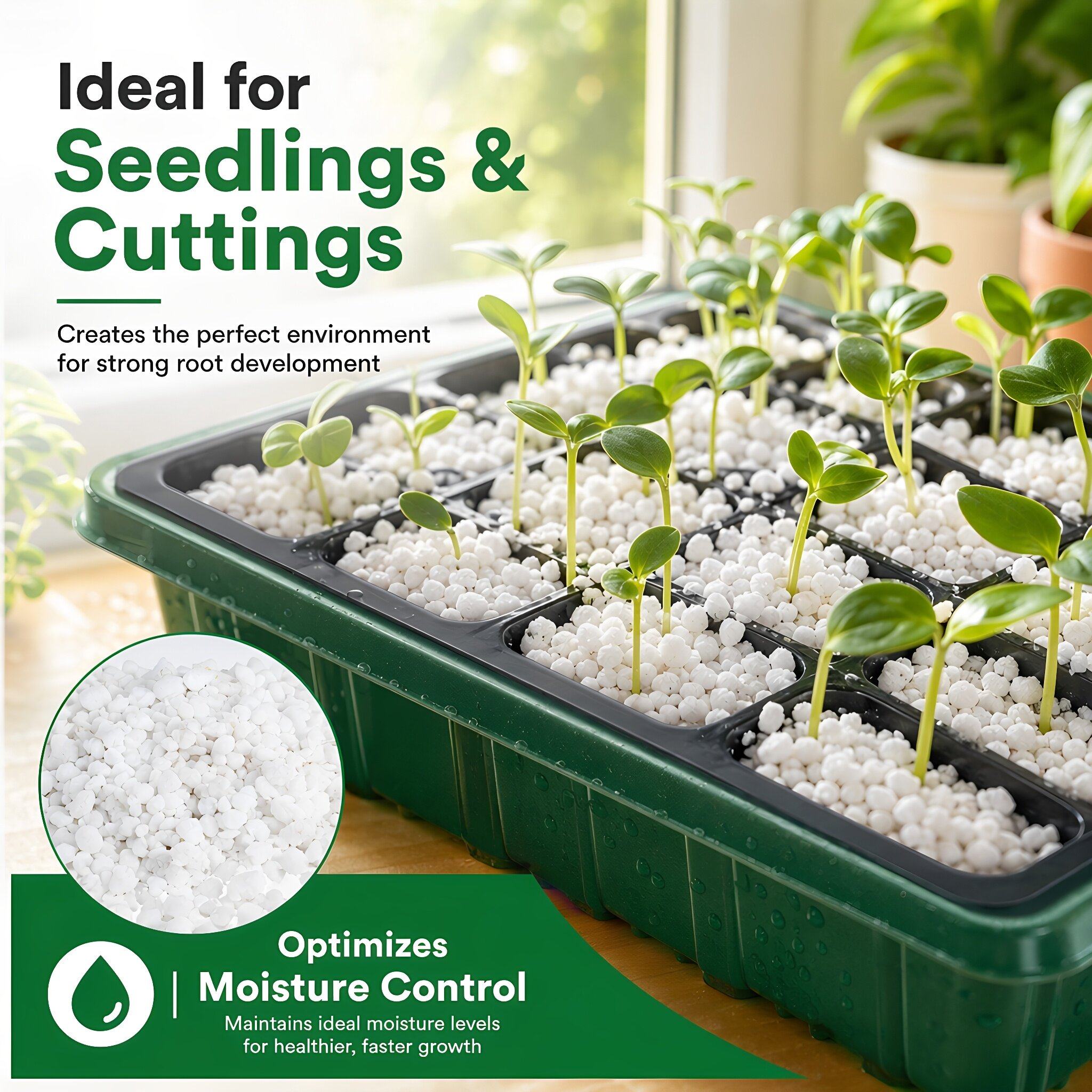Perlite Horticultural Garden S - Horticulture Soil Perlite recension och pris