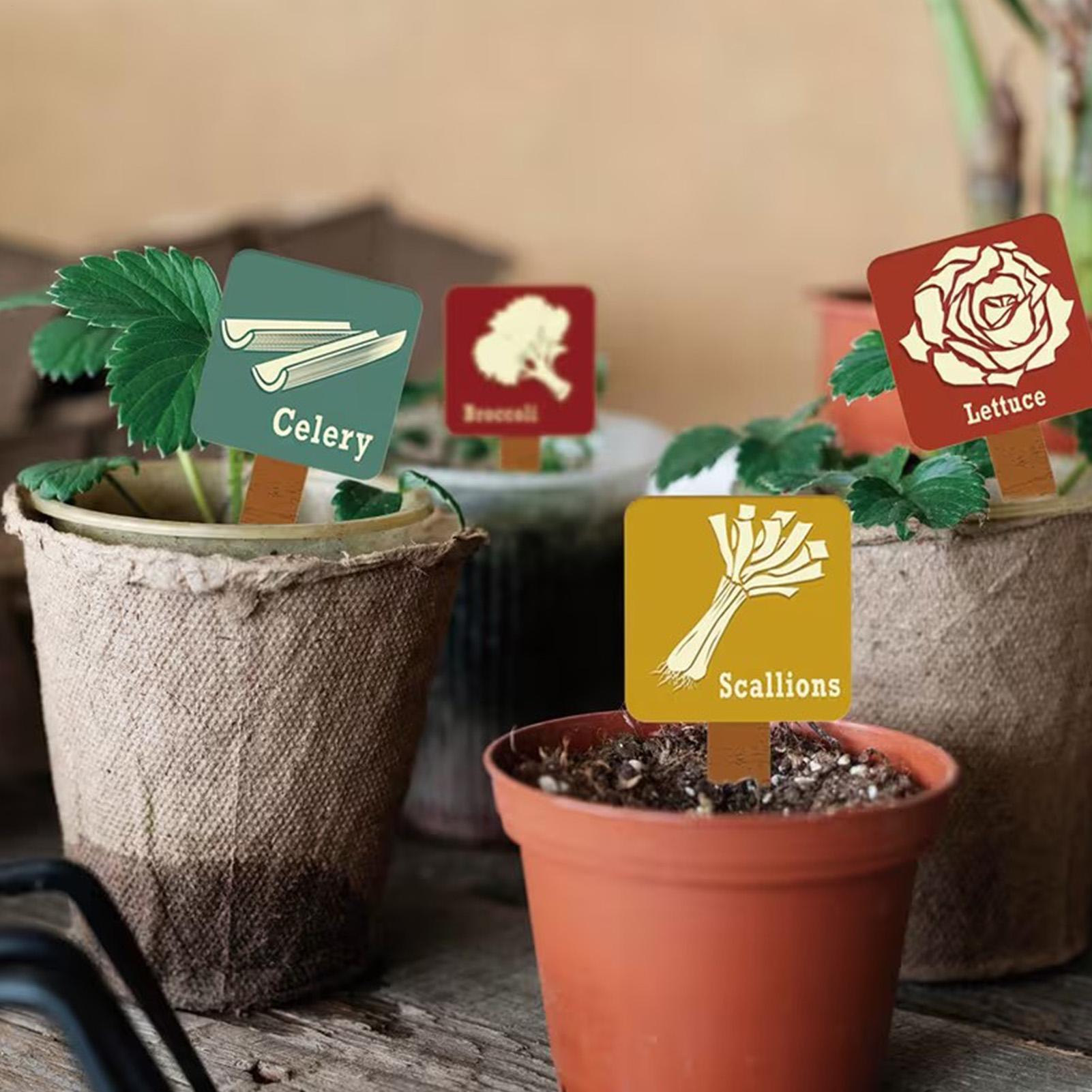 Garden Plant Markers 15 Pieces - Garden Row Marker recension och pris