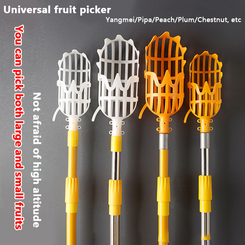 Picking Loquat Picking Bayberr - Gardening Tools Rack recension och pris
