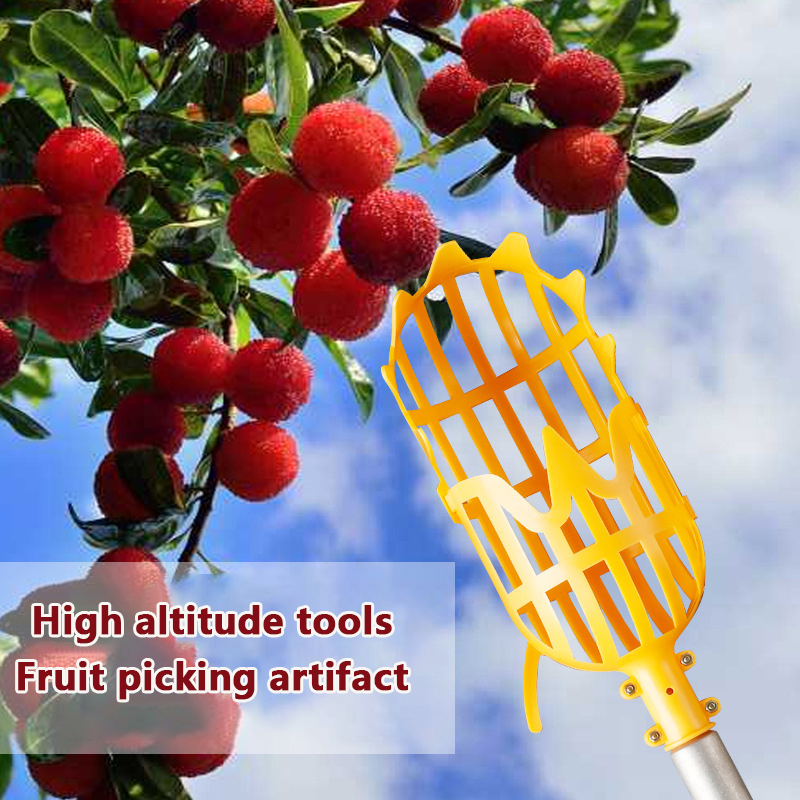 Picking Loquat Picking Bayberr - Gardening Tools Rack recension och pris
