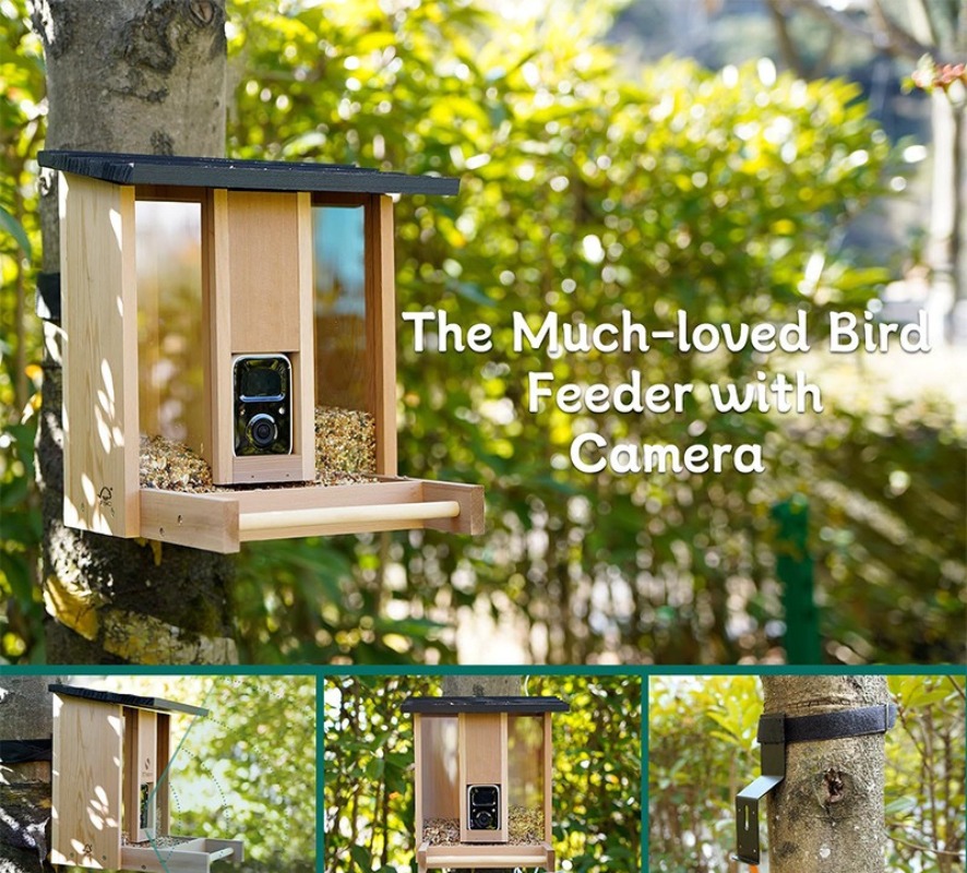 AI intelligent bird feeder wit - Gardening Tools Definition recension och pris