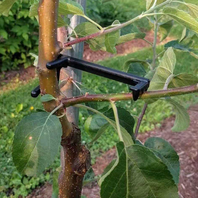 Fruit Tree Branch Puller Plant - Root Watering Spike recension och pris
