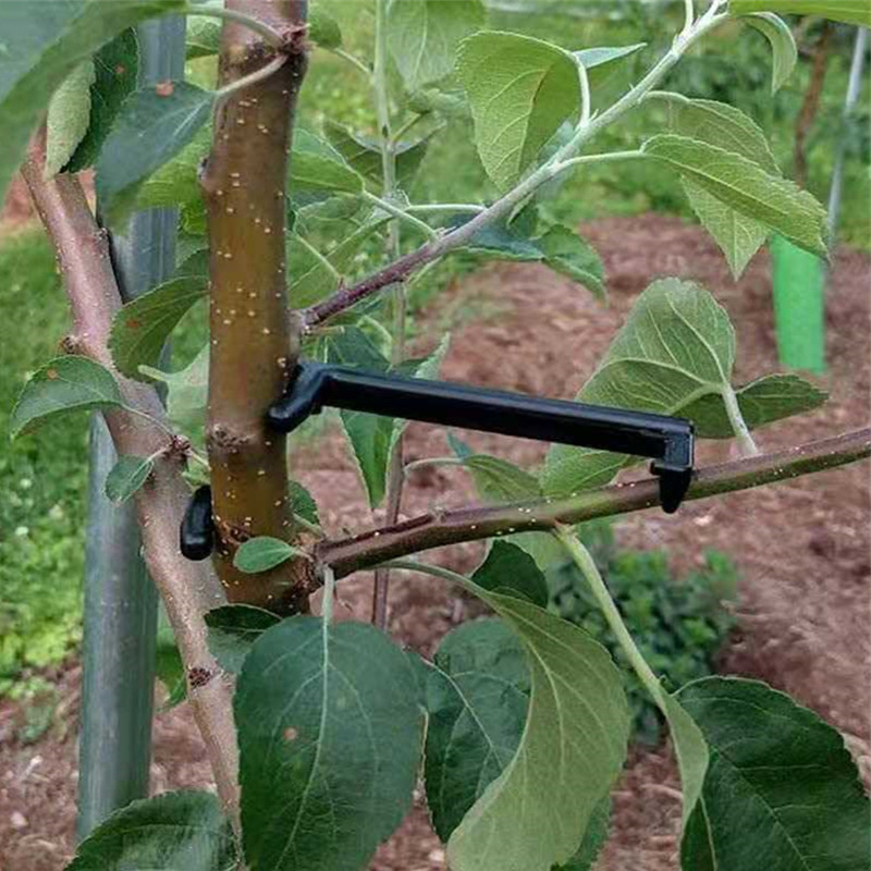 Fruit Tree Branch Puller Plant - Root Watering Spike recension och pris