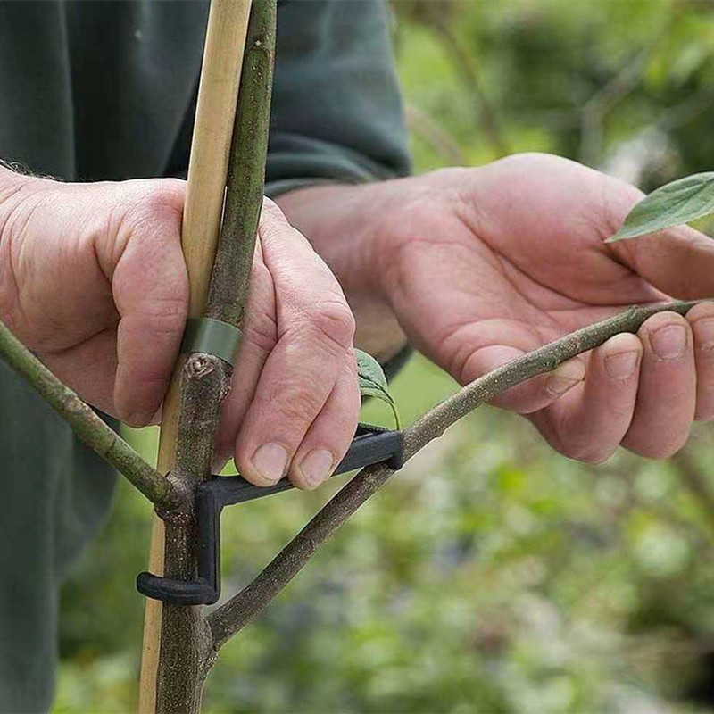 Fruit Tree Branch Puller Plant - Root Watering Spike recension och pris