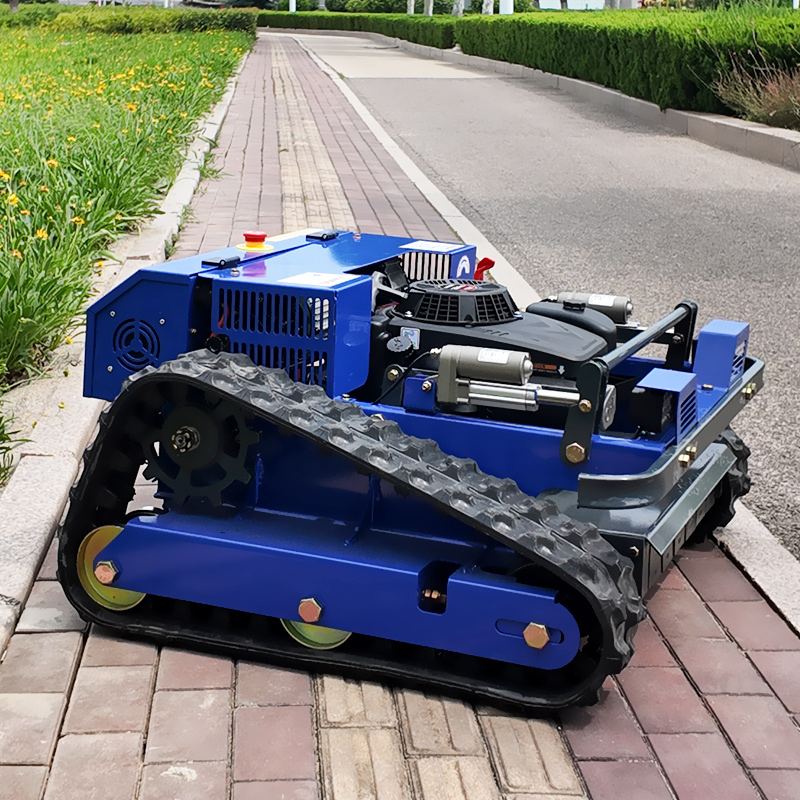 Customised CE EPA Certified Sm - Gardening Tools Lawn Mower recension och pris